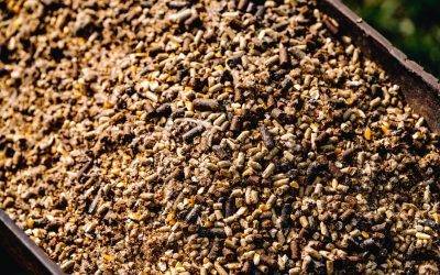 Hay Stretchers: Are they for me?