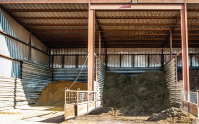 Is a Premix Right for Your Operation?