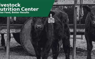To Creep Feed or Not to Creep Feed